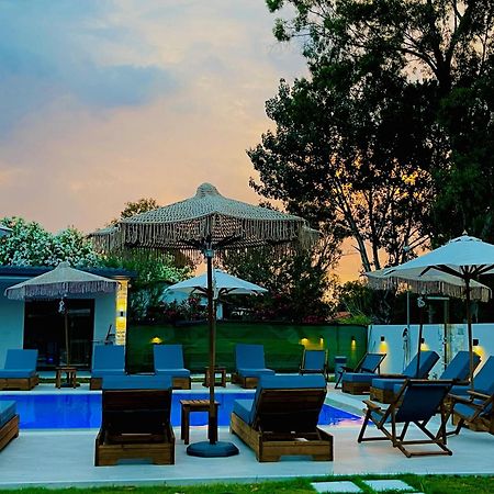 Olia Seaside Residence 120M From The Beach เปฟโกโฮรี ภายนอก รูปภาพ